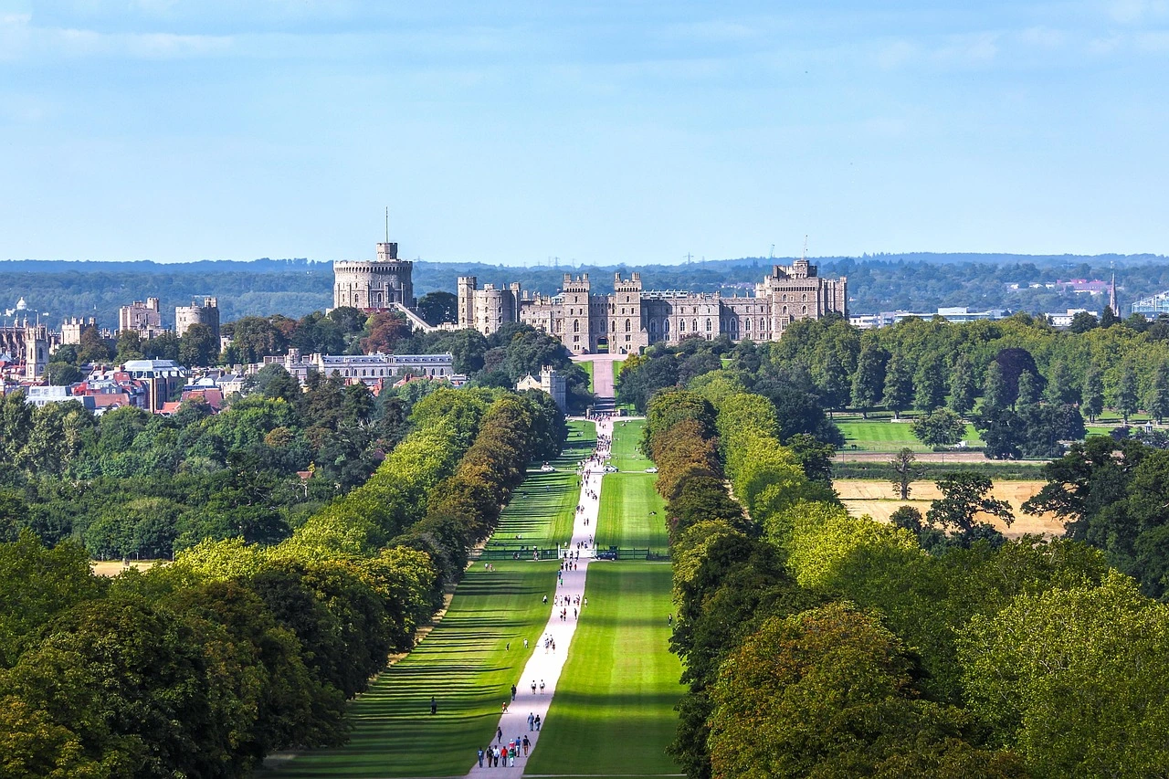 Windsor 50
